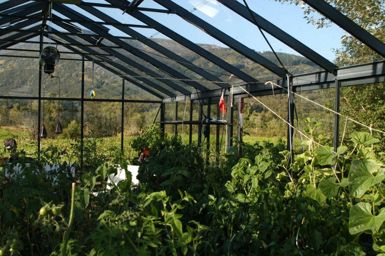 Art Studio Sortland Zewnętrze zdjęcie